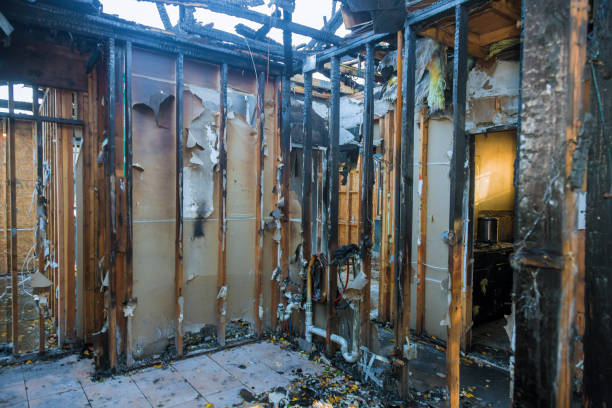 Professional Fire Damage Removal technician working in Limestone, IL